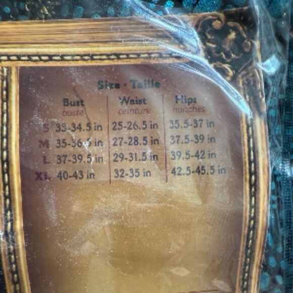 NWT In Character Adult XL Turquoise Medieval Queen Costume - Picture 2 of 4